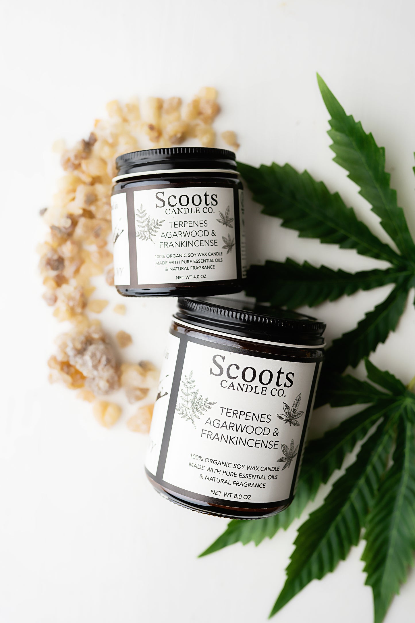 Terpenes, Agarwood & Frankincense